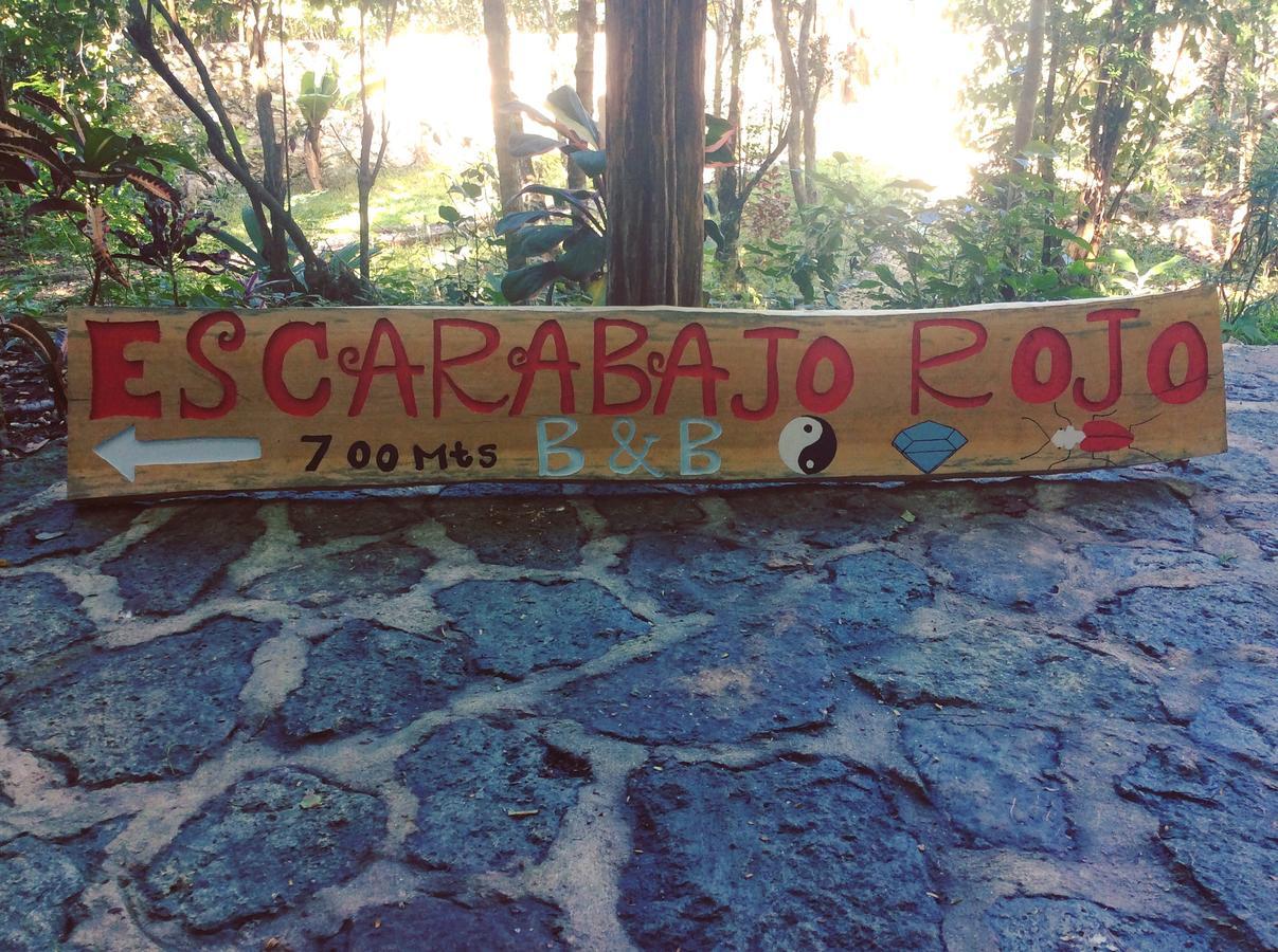 Escarabajo Rojo Tulum Exterior foto