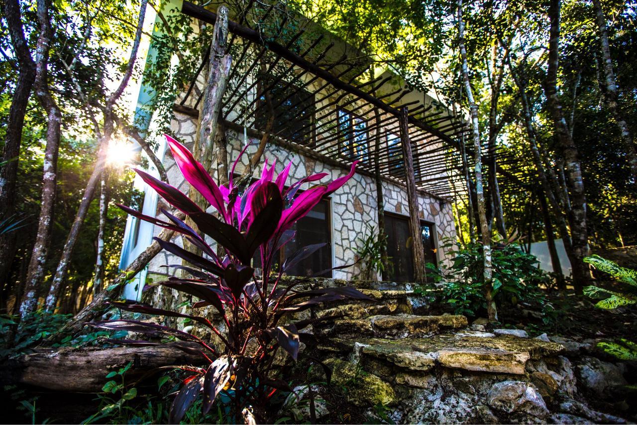 Escarabajo Rojo Tulum Exterior foto