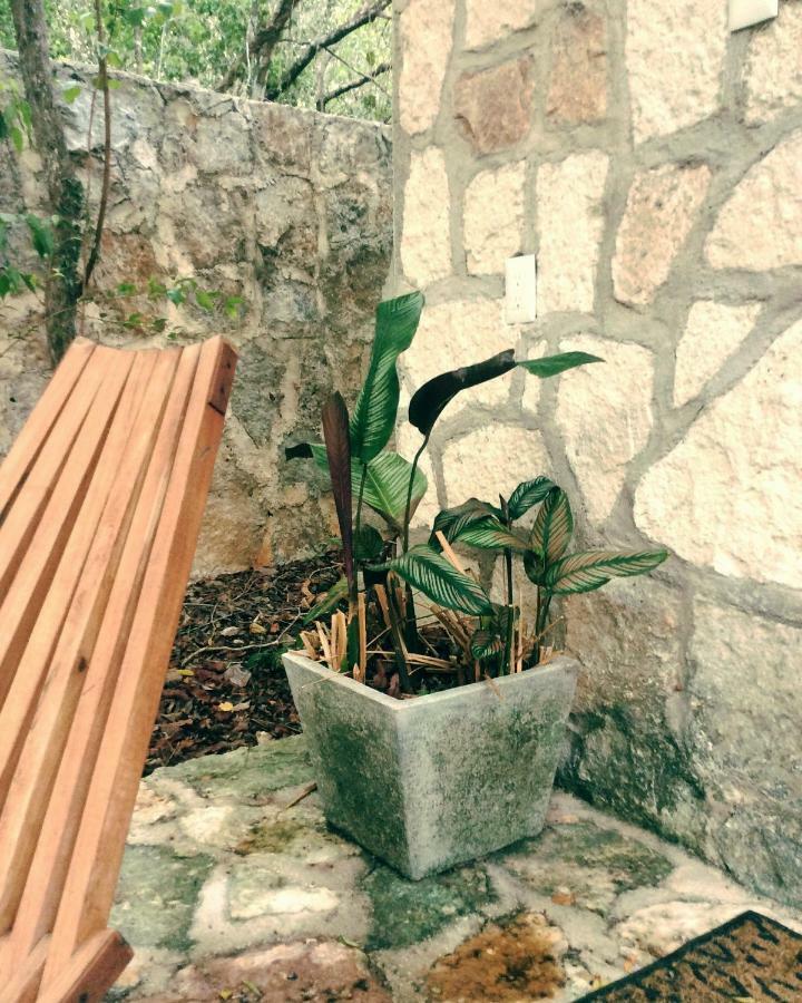 Escarabajo Rojo Tulum Exterior foto